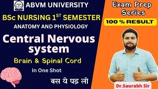Thumbnail: Central nervous system | Brain and Spinal cord | For Neet, Nursing, Pharmacy students