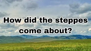 Thumbnail: Why there are no trees in the steppes: the mysterious grasslands of nature explained!