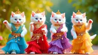 Thumbnail: बिल्ली का डांस वीडियो | Cat videos | funny cat dance 😻💃| Videos for cats billi dance | #dancingcat