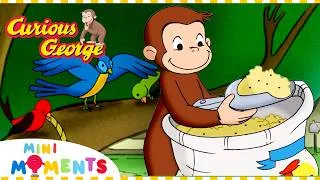 Thumbnail: Let's Feed the Birds! 🐦 | Curious George | Mini Moments