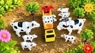 Thumbnail: Baby Calves Lost! Mother Cow Comes to Rescue #013