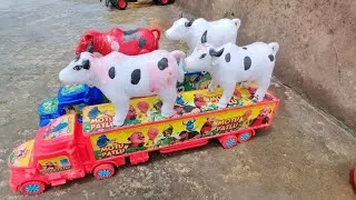 Thumbnail: Baby Calves Lost! Mother Cow Comes to Rescue #012