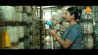 Thumbnail: Hoogrijan (Assam) | Self-Sufficient Infrastructure in Panchayat | #NationalPanchayatAwards