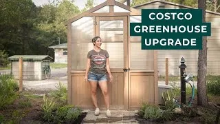 Thumbnail: $1300 Greenhouse - Was is actually worth it?