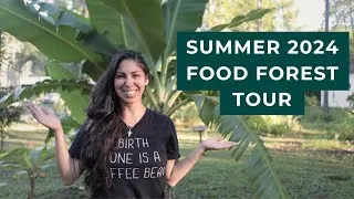 Thumbnail: Summer 2024 Food Forest Tour (Zone 9 Food Forest)