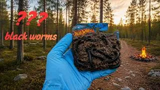 Thumbnail: Washing Hot Wheels from black worms🪱🤢|ASMRCleaning|