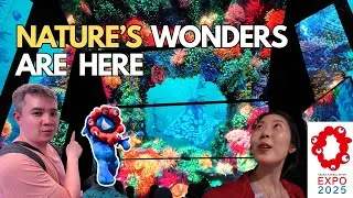 Thumbnail: Osaka Expo 2025 Japan Guide: The Most Beautiful Nature Pavilions You’ll Want to Visit First