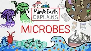 Thumbnail: MinuteEarth Explains: Microbes