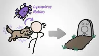 Thumbnail: The Weird Reason Rabies Is So Deadly