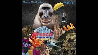 Thumbnail: Miracle Man Media - Animal (Official Audio)