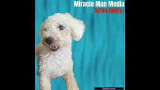 Thumbnail: Miracle Man Media - Snape (Official Audio)