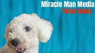Thumbnail: Miracle Man Media Presents Turbo Tobey! (Full EP)