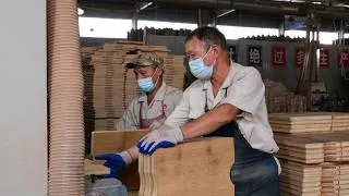 Thumbnail: Satisfying Process Raw Wood to Matches & Bamboo to Board