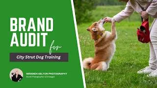 Thumbnail: Brand Photographer Audits a Dog Trainer's Website & Social Media | City Strut