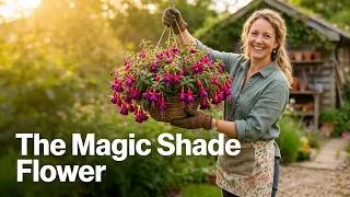 Thumbnail: 9 Flowers That Love the Shade (And Will Prove Dark Spots Aren't Hopeless)