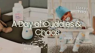 Thumbnail: Cuddles and Chaos - The Sims 4