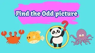 Thumbnail: Colorful Find the Odd One Out for Kids – Interactive Puzzle Game (Ages 2-6)