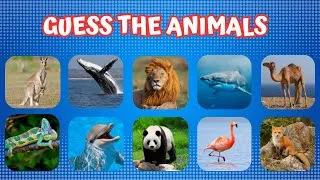Thumbnail: Guess the Animal! 🐾 Fun Animal Quiz for Kids | Learn Names & Facts