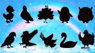 Thumbnail: Guess the Shadow of Birds | Fun Bird Shadow Game for Kids | Learn Birds with Song