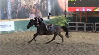 Thumbnail: Horse fail 4K!! #equestrian #horse #horsefail #horsejumping #showjumping #fail #equestrian