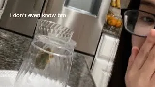 Thumbnail: pov:seeing a frog at your fridge in the middle of the night