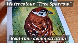 Thumbnail: Watercolor "Tree Sparrow" Illustration//Real-time! 