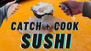 Thumbnail: Surf to Sushi as a Beginner! (Catch and Cook Sushi) #sushi #fishing 