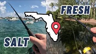 Thumbnail: South Florida Multispecies Madness (Salt and Freshwater Fishing)