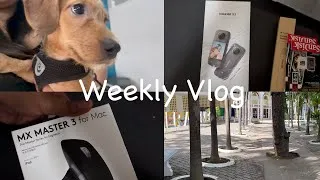 Thumbnail: Weekly Vlog: Insta360 X3 Unboxing, Buying Accessories For My Macbook, Vet Visit | Freelance Life