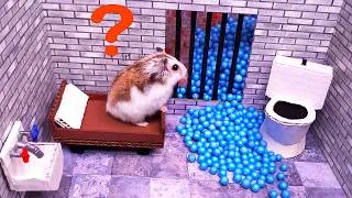 Thumbnail: 🐹Hamster escapes the awesome maze for Pets in real life 🐹 in Hamster stories Part 6