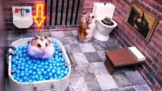 Thumbnail: 🐹Hamster Escapes the Awesome 5-Star Luxury Prison Maze with Bathtub🐹 for Pets in real life