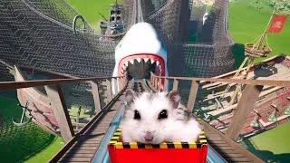 Thumbnail: Hamster in Roller Coaster Maelstrom with shark