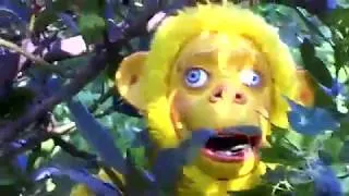 Thumbnail: P_Nutz.mp4