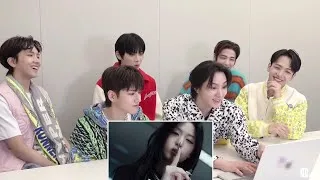 Thumbnail: BOYNEXTDOOR Reaction BABYMONSTER 'SUGAR HONEY ICE TEA' M/V