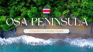 Thumbnail: Where The Jungle Meets The Ocean | Osa Peninsula Costa Rica | Cinematic Drone Views