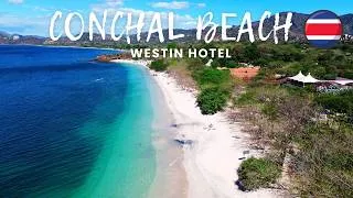 Thumbnail: CONCHAL Beach WESTIN Hotel - Family Day Out In Costa Rica