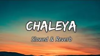 Thumbnail: Chaleya | Slowed and Reverb | Lofi Song