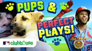 Thumbnail: Dogs Take Over the Ballpark! 🐶⚾ PLUS Crazy Baseball Plays | MLB Clubhouse