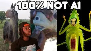 Thumbnail: Animals That Not Even AI Could Come Up With