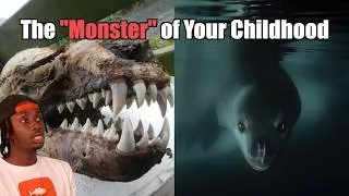 Thumbnail: The Predator We Still Can't Figure Out