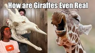 Thumbnail: You Have No Idea How Weird Giraffes Are