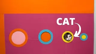 Thumbnail: NEW Obstacle Challenge - REDUCING HOLE CAT vs DOG