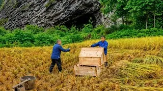 Thumbnail: The 1000 Years Old Rice Machine That Replaced Dozens of Workers