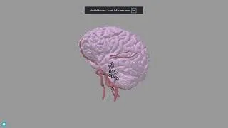 Thumbnail: Open Education Resources Anatomy Hub Tour