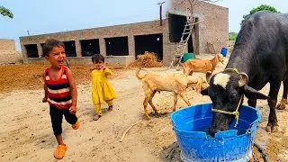 Thumbnail: Rural Life Vlog | Cute Kid, Farm Animals & Peaceful Village Life