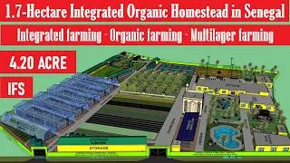 Thumbnail: 1.7-Hectare /4.2-Acre Integrated Organic Homestead in Senegal - Nature, Family & Sustainable Farming