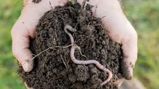 Thumbnail: Documentary| Soil Pollution| Physical Science