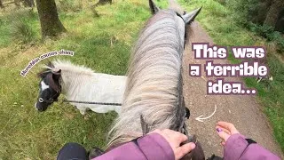 Thumbnail: I TOOK MY MINI PONY TO THE FOREST…