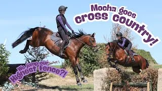 Thumbnail: MOCHA JUMPS SOME BIG FENCES!! // XC SCHOOLING 