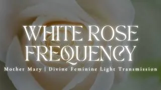 Thumbnail: WHITE ROSE FREQUENCY | Mother Mary 🕊️🪽 Divine Feminine Light Transmission | 528hz